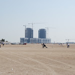 CRICKET_4068.JPG