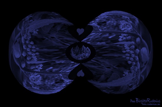 pm_20110831_bluelove1neonljus pm_20110831_bluelove1neonljus
