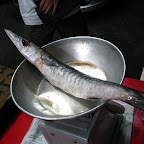IMG_5771.JPG