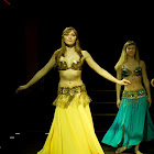 Document Name_3_247.JPG