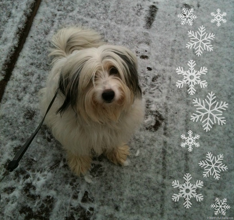 [Eva%2520Loves%2520Snow%255B4%255D.jpg]