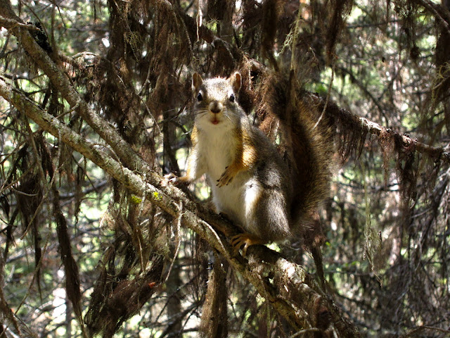 Ah, Why Is There A Camera Next To Me?