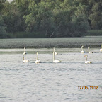 IMG_7904.JPG