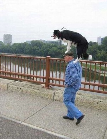 [viral-picdump-pics-0394f3%255B2%255D.jpg]