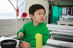 IMG_3434 IMG_3434