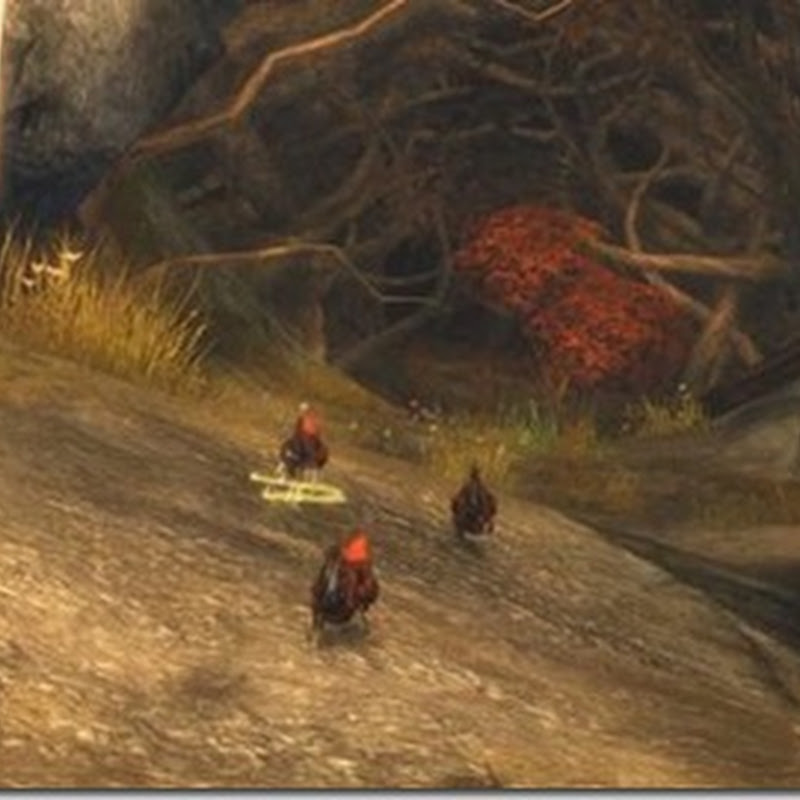 Guild Wars 2: Guild Quests erklärt – Rätsel, Kopfgelder und Hühnerrennen kommen