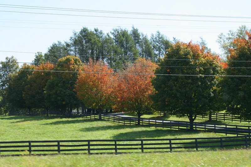 [Virginia%2520Trip-%2520October%25202011%2520337-1.jpg]