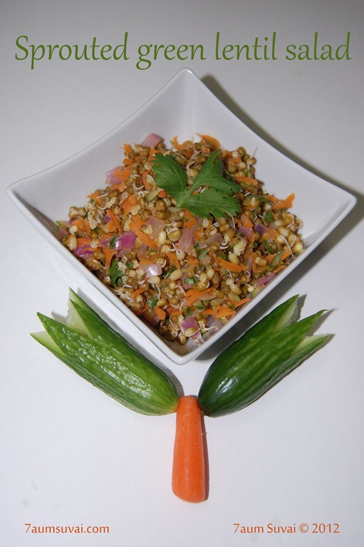 [Sprouted%2520green%2520lentil%2520salad%2520Pic2%255B6%255D.jpg]