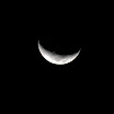 IMG_1152.jpg