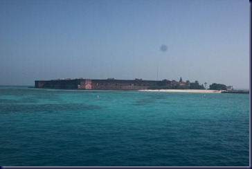 IMG_9508 IMG_9508