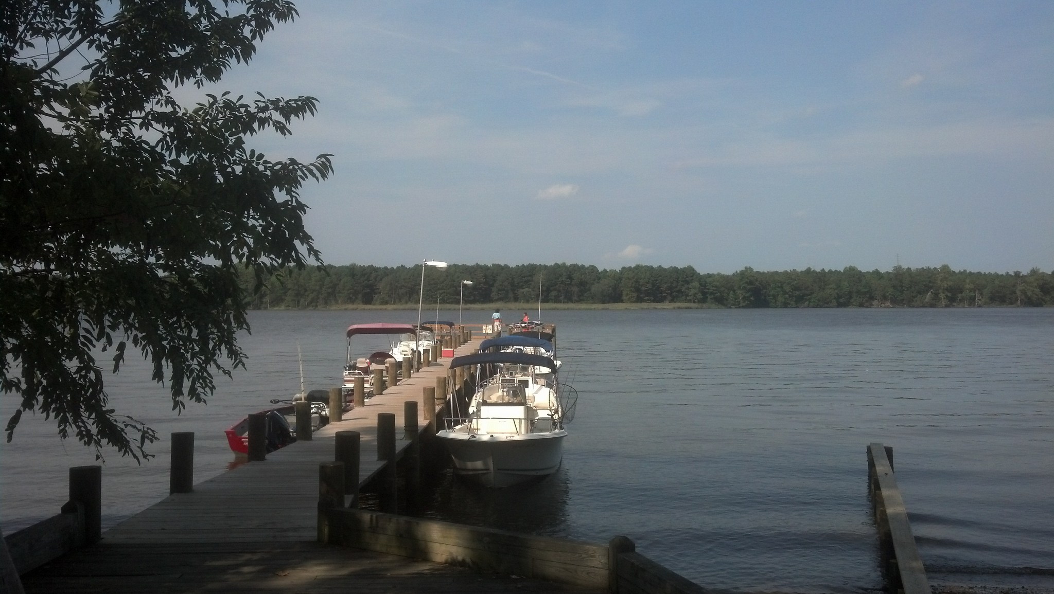 Campground Review Chesapeake Bay Thousand Trails Gloucester, VA