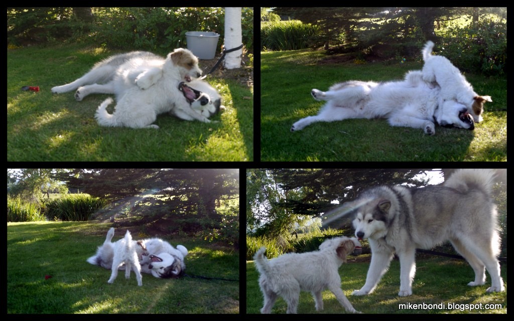 [Munson%2520and%2520friend%255B8%255D.jpg]