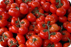 tomatoe