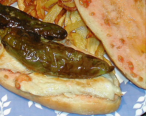 DSCN3950 DSCN3950