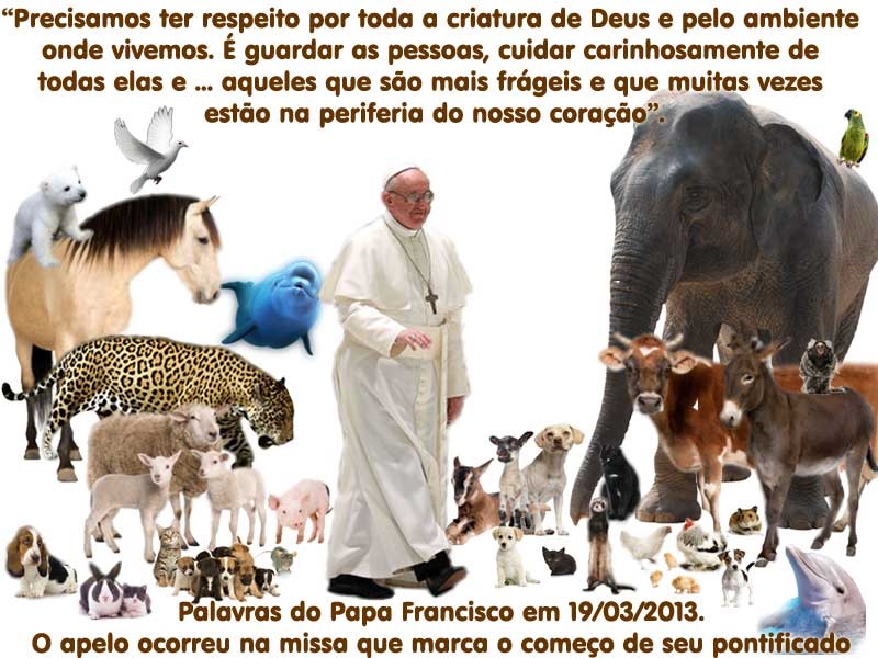 [francisco-animais%255B3%255D.jpg]