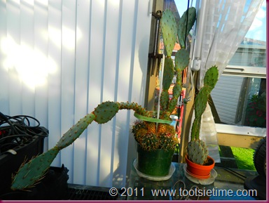 DSCN1318 DSCN1318