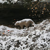 IMG_2327.JPG