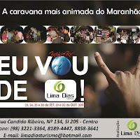  FLYERS_2011