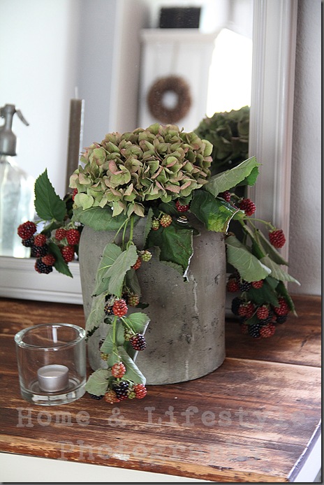 Home & Lifestyle Home & Lifestyle