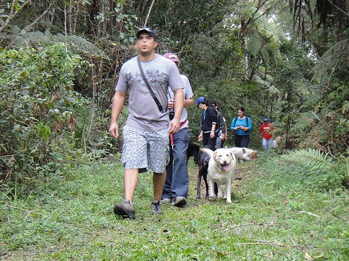 [Patas%252022%2520%2528177%2529%255B4%255D.jpg]