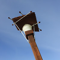 IMG_3576.jpg