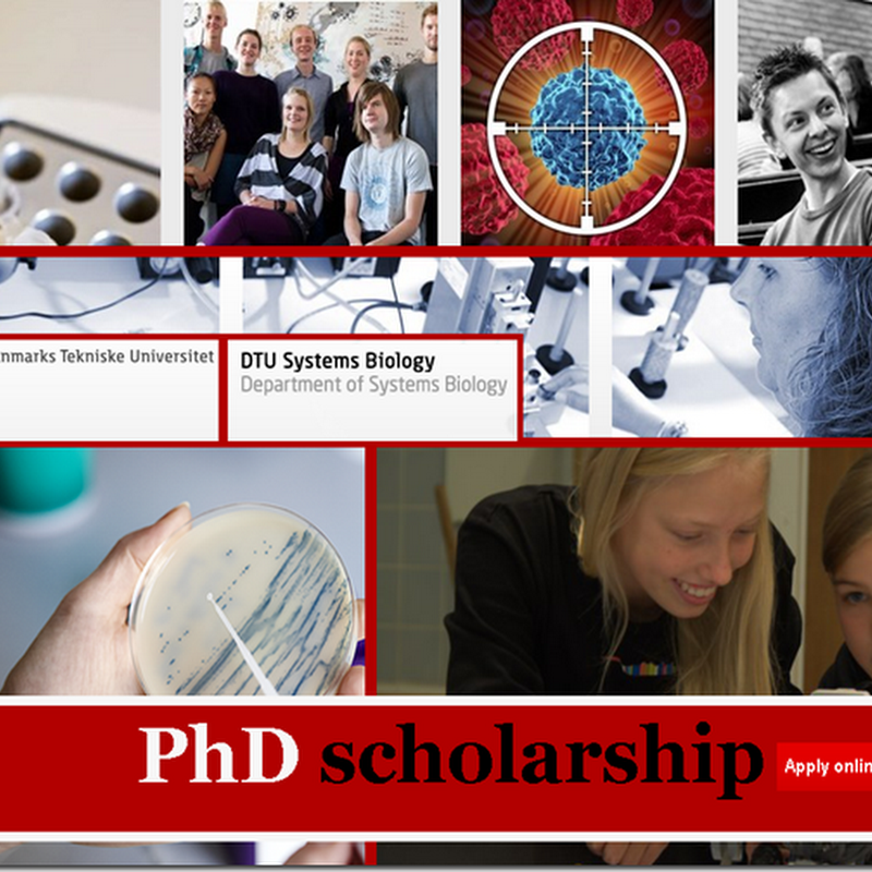 PhD scholarship in Protein and Proteomics the department of Systems