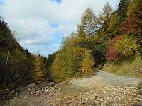 R0011828.JPG Photo