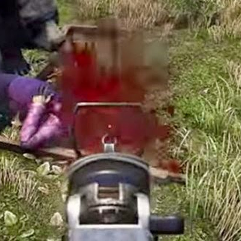 Far Cry 4 – 24 Arten, den Bösewicht zu töten