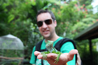 Gecko