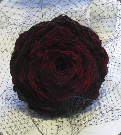 IMG_4389 black baccara theflowercolos.blogspot the flower company
