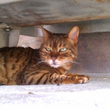 IMAG0168.jpg
