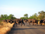 South Africa - 163.JPG