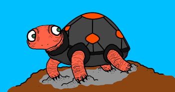 11. Give the Turtle a Shell