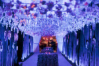 Levy Lighting Levy Lighting