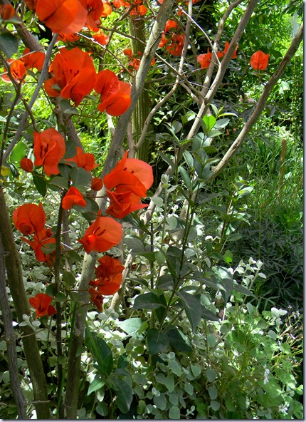 DSCN9977 DSCN9977