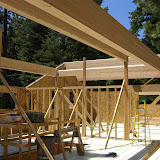 Green SIP Home