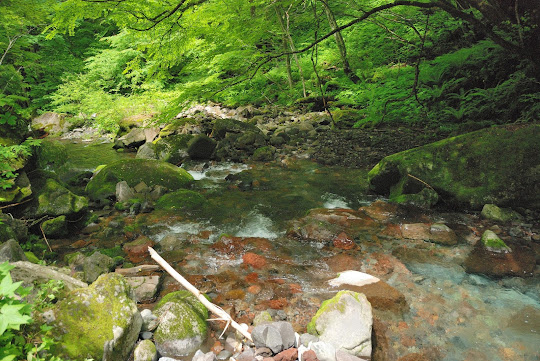 胡桃大滝の下流