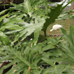 IMG_1984.JPG