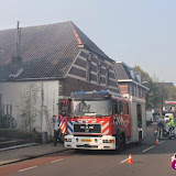IMG_7204.jpg