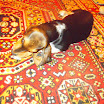 DSCN2488.JPG