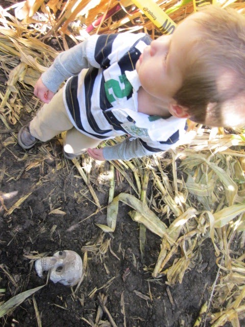 [IMG_4195%255B5%255D.jpg]