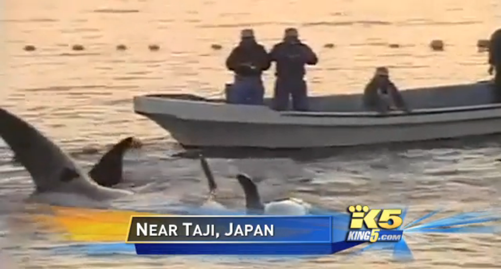 [image%255B5%255D.png]