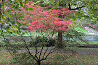 Castle Gardens at the Museum of Welsh Life