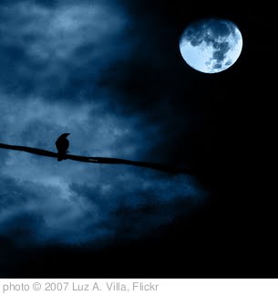 'Noche de luna llena - Full moon night' photo (c) 2007, Luz A. Villa - license: http://creativecommons.org/licenses/by/2.0/