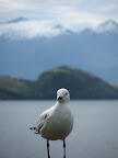 IMG_0616.JPG