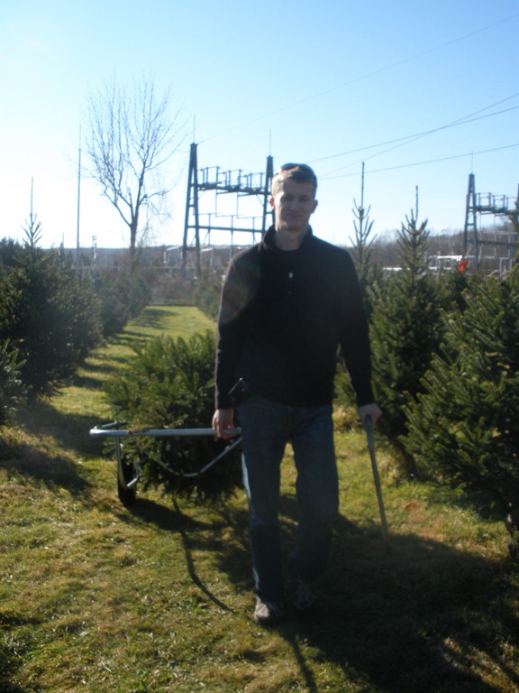 [tree%2520weekend%2520012%255B3%255D.jpg]