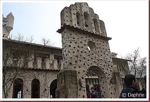 IMG_1930 IMG_1930