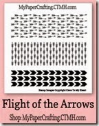 flight of the arrows 200