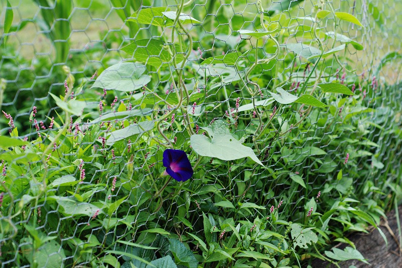 [DSC_0913%2520copy%25202%255B5%255D.jpg]