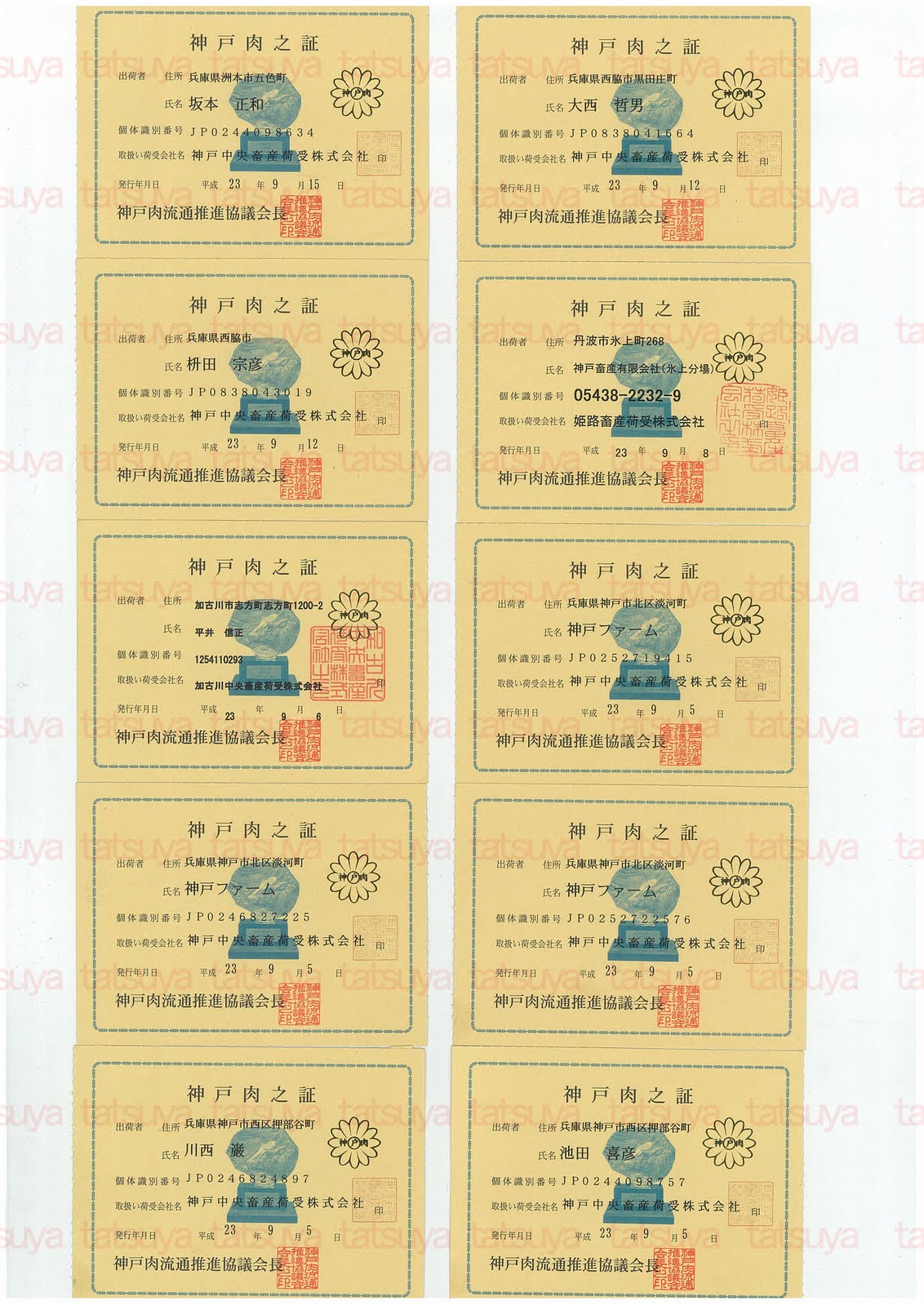 [LOT-11093001-%25231.jpg]